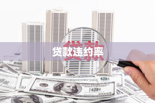 乐亭贷款违约率