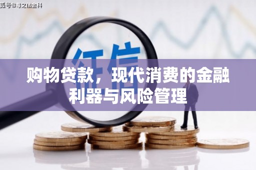 乐亭购物贷款，现代消费的金融利器与风险管理