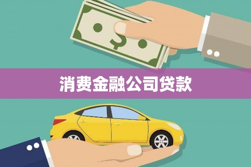 乐亭消费金融公司贷款