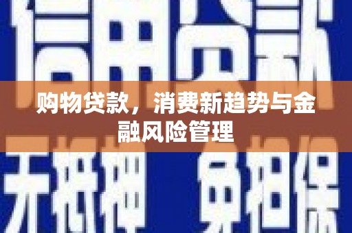 乐亭购物贷款，消费新趋势与金融风险管理