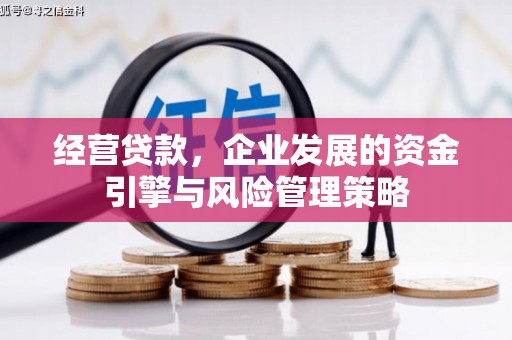 乐亭经营贷款，企业发展的资金引擎与风险管理策略