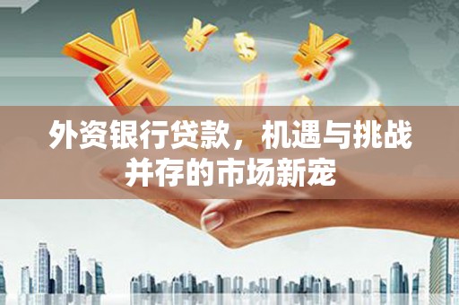 乐亭外资银行贷款，机遇与挑战并存的市场新宠