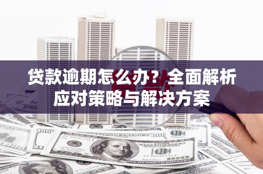 乐亭贷款逾期怎么办？全面解析应对策略与解决方案