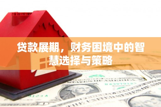 乐亭贷款展期，财务困境中的智慧选择与策略