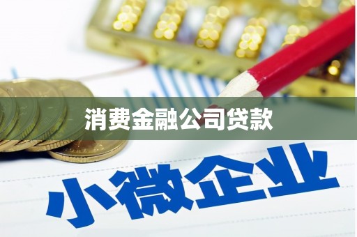 乐亭消费金融公司贷款