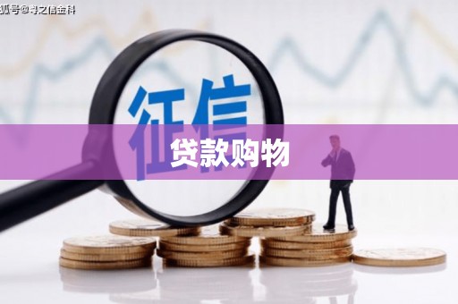 乐亭贷款购物
