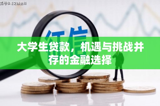 乐亭大学生贷款，机遇与挑战并存的金融选择