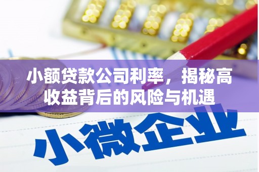 乐亭小额贷款公司利率，揭秘高收益背后的风险与机遇