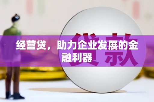 乐亭经营贷，助力企业发展的金融利器