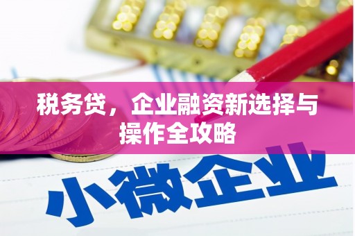 乐亭税务贷，企业融资新选择与操作全攻略