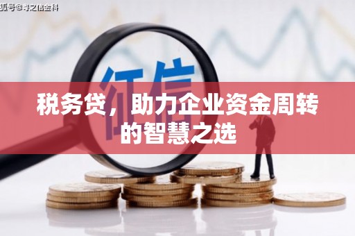 乐亭税务贷，助力企业资金周转的智慧之选