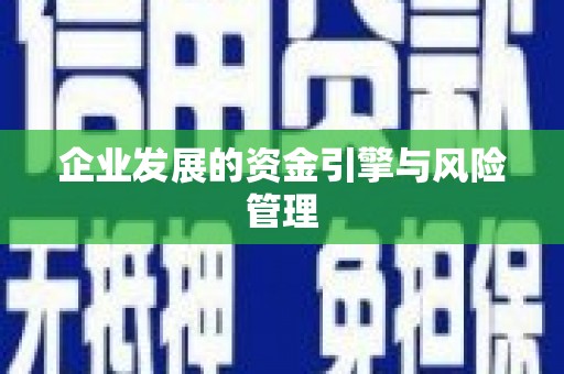 乐亭企业发展的资金引擎与风险管理