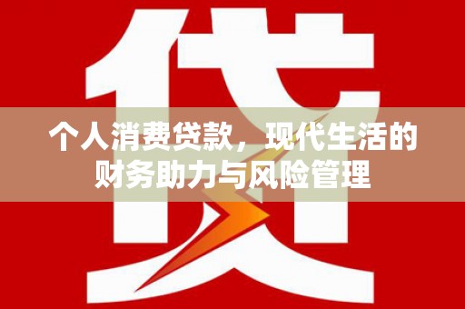 乐亭个人消费贷款，现代生活的财务助力与风险管理