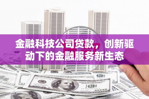 乐亭金融科技公司贷款，创新驱动下的金融服务新生态