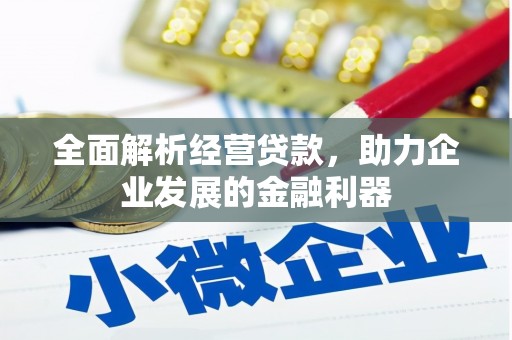 乐亭全面解析经营贷款，助力企业发展的金融利器