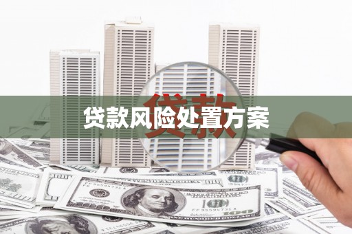 乐亭贷款风险处置方案