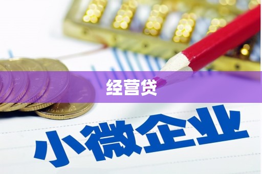乐亭经营贷