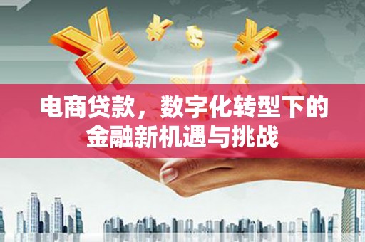 乐亭电商贷款，数字化转型下的金融新机遇与挑战