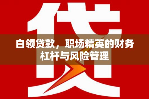 乐亭白领贷款，职场精英的财务杠杆与风险管理