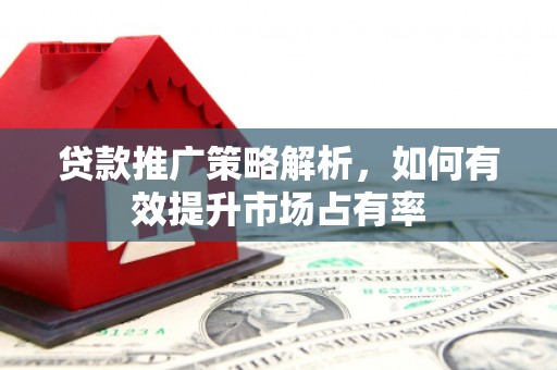 乐亭贷款推广策略解析，如何有效提升市场占有率