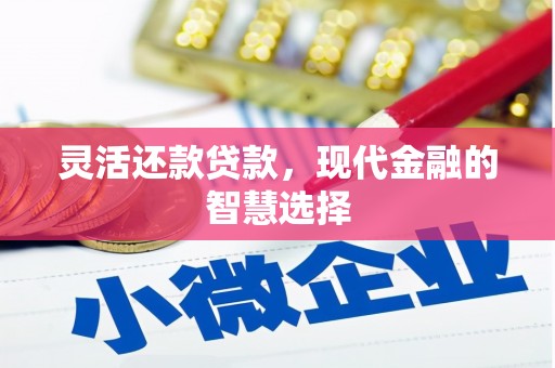 乐亭灵活还款贷款，现代金融的智慧选择