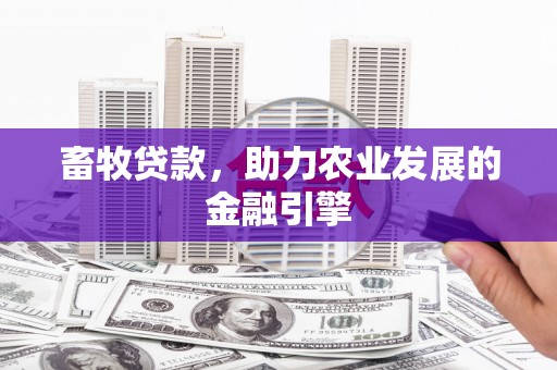 乐亭畜牧贷款，助力农业发展的金融引擎