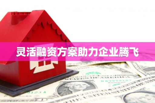 乐亭灵活融资方案助力企业腾飞