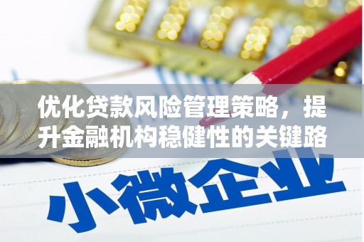 乐亭优化贷款风险管理策略，提升金融机构稳健性的关键路径