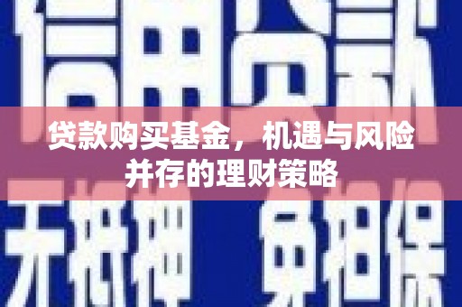 乐亭贷款购买基金，机遇与风险并存的理财策略
