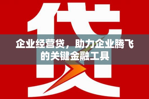 乐亭企业经营贷，助力企业腾飞的关键金融工具
