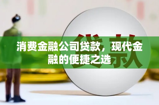 乐亭消费金融公司贷款，现代金融的便捷之选