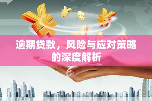 乐亭逾期贷款，风险与应对策略的深度解析