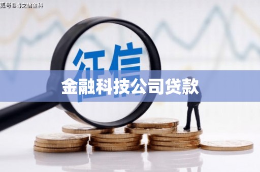 乐亭金融科技公司贷款