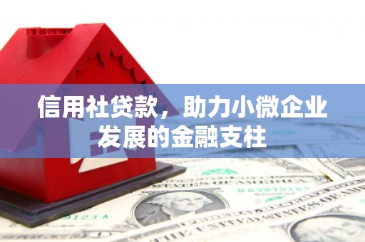 乐亭信用社贷款，助力小微企业发展的金融支柱