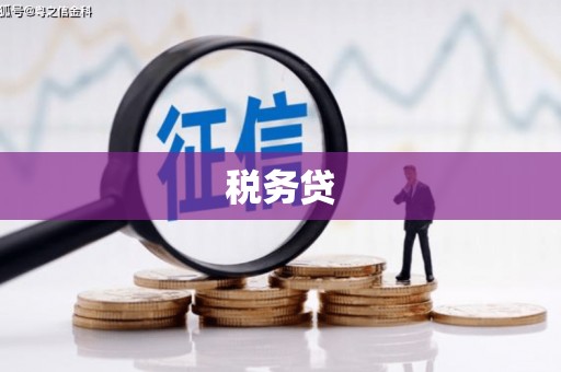 乐亭税务贷