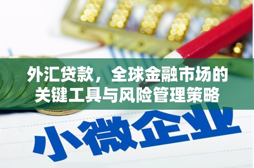 乐亭外汇贷款，全球金融市场的关键工具与风险管理策略