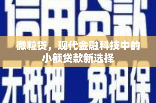 乐亭微粒贷，现代金融科技中的小额贷款新选择