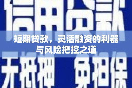 乐亭短期贷款，灵活融资的利器与风险把控之道