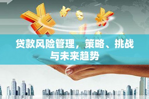 乐亭贷款风险管理，策略、挑战与未来趋势