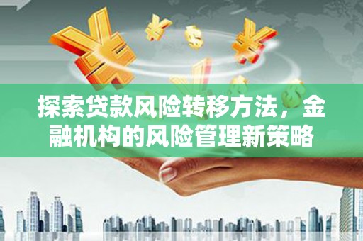 乐亭探索贷款风险转移方法，金融机构的风险管理新策略