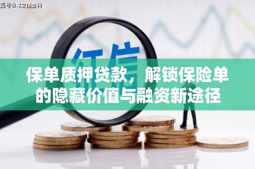 乐亭保单质押贷款，解锁保险单的隐藏价值与融资新途径