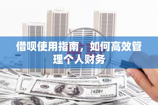 乐亭借呗使用指南，如何高效管理个人财务