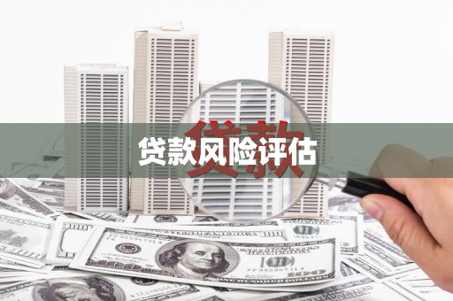 乐亭贷款风险评估