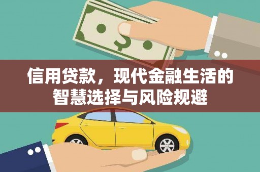 乐亭信用贷款，现代金融生活的智慧选择与风险规避