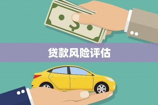 乐亭贷款风险评估