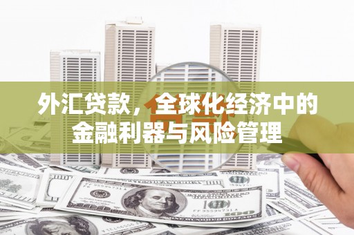 乐亭外汇贷款，全球化经济中的金融利器与风险管理