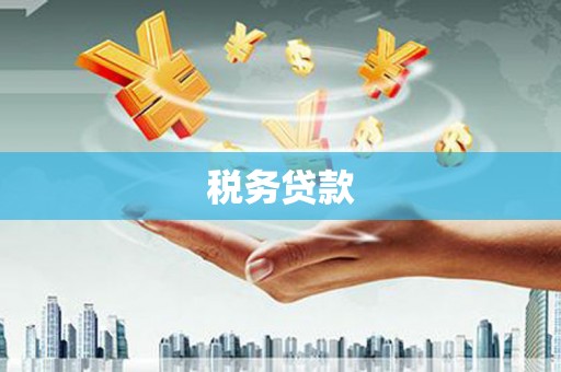 乐亭税务贷款