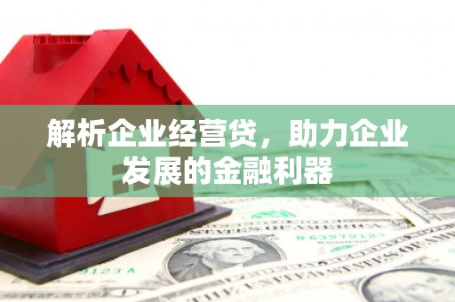 乐亭解析企业经营贷，助力企业发展的金融利器