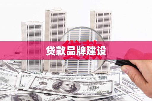 乐亭贷款品牌建设