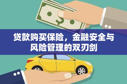 乐亭贷款购买保险，金融安全与风险管理的双刃剑